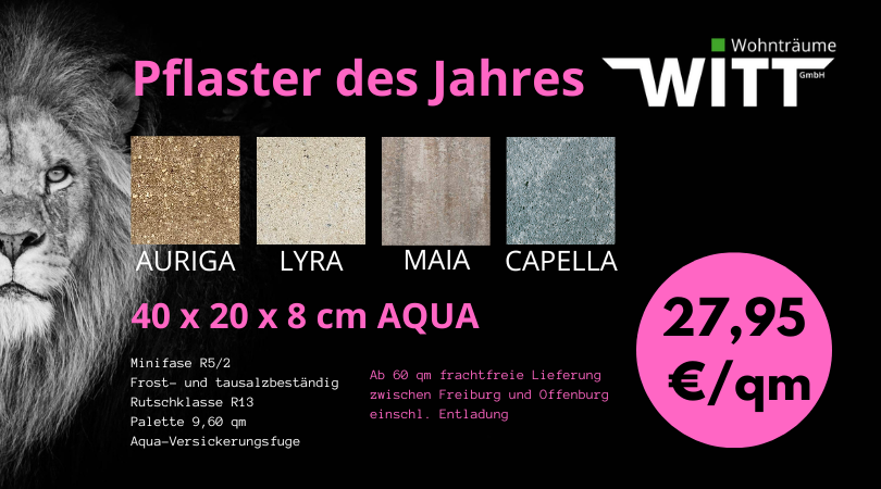 Pflaster des Jahres (1)